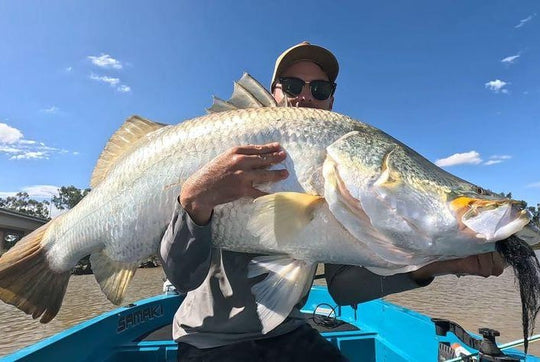 UV BRUSH PROFILE FLY - SL12 4/0 - BLACK/CHART - NEW 3D EYE