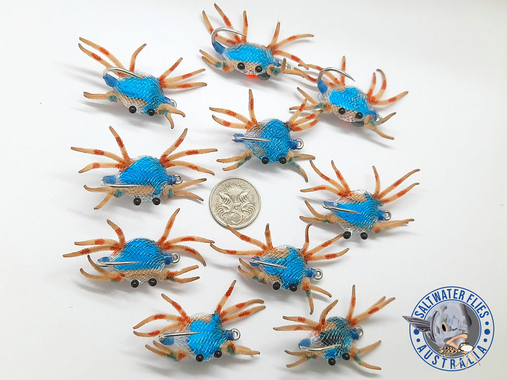 SOLDIER CRAB FLY