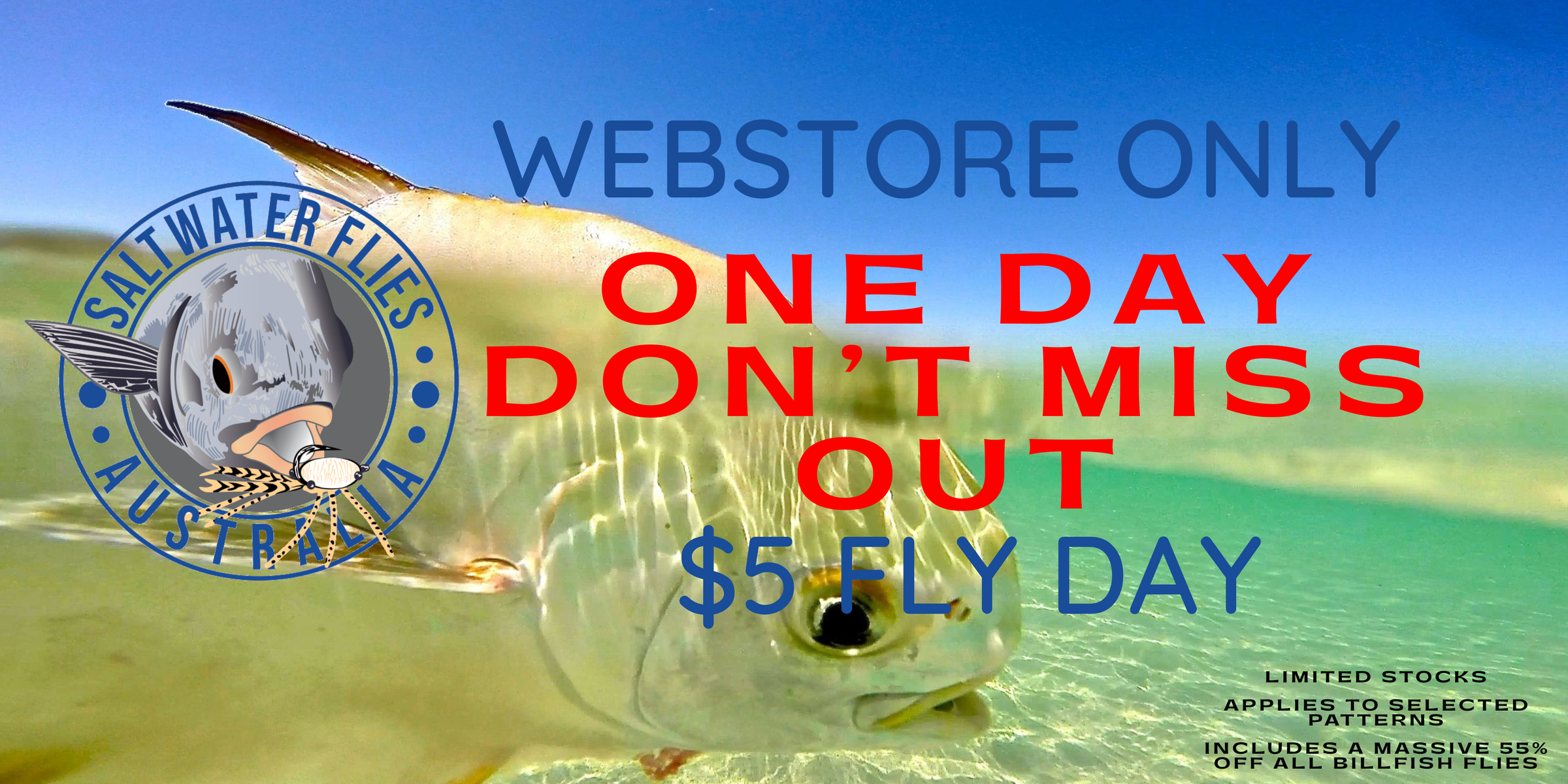 ONE DAY ONLY - $5 FLIES