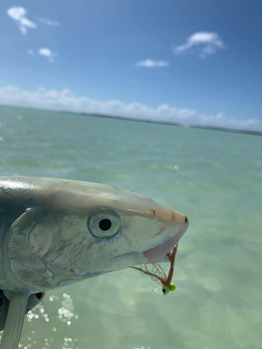 COCOS KEELING ISLANDS FLY KIT
