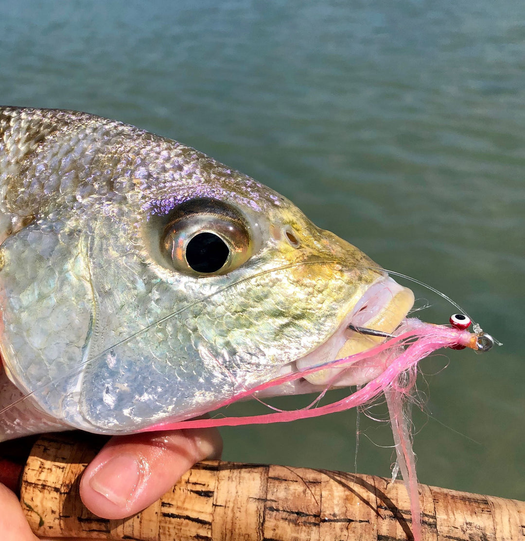 CLOUSER MINNOW - SL12 #2 & SL12 1/0 - WHITE - BUCKTAIL - RED DOUBLE PUPIL LEAD EYE