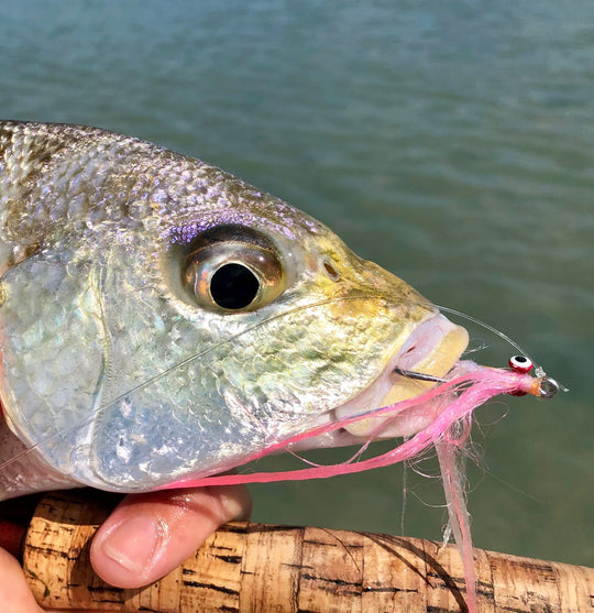CLOUSER MINNOW - SL12 #2 & SL12 1/0 - WHITE - BUCKTAIL - RED DOUBLE PUPIL LEAD EYE