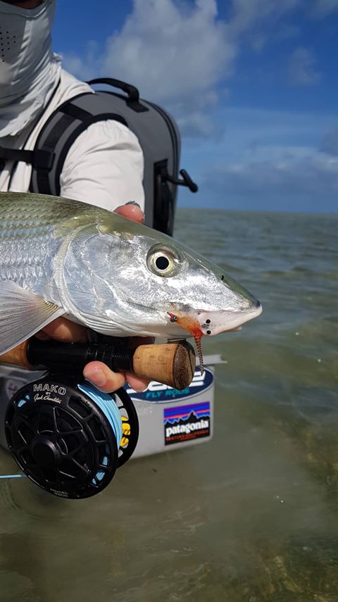 COCOS KEELING ISLANDS FLY KIT