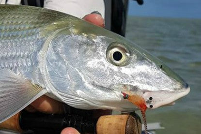 COCOS KEELING ISLANDS FLY KIT