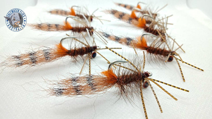 COACH DUFF  MANTIS SHRIMP FLY - SL11-3H #2 - BROWN