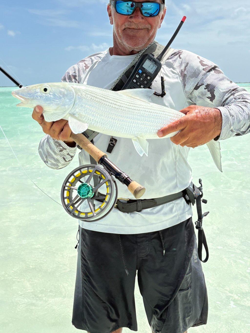 VEVERKA'S MANTIS SHIMP FLY