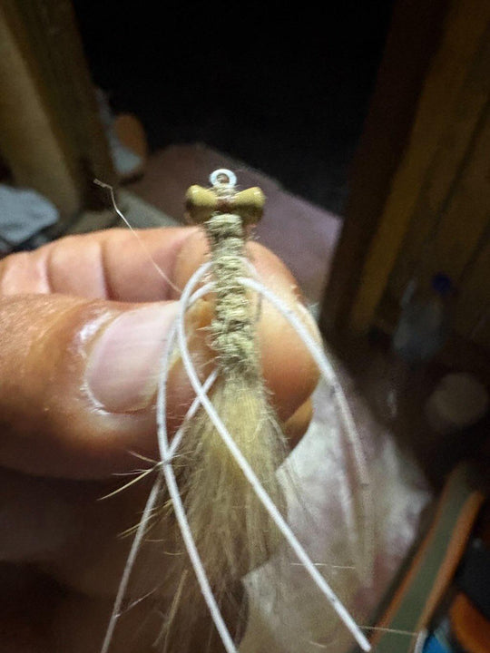VEVERKA'S MANTIS SHIMP FLY
