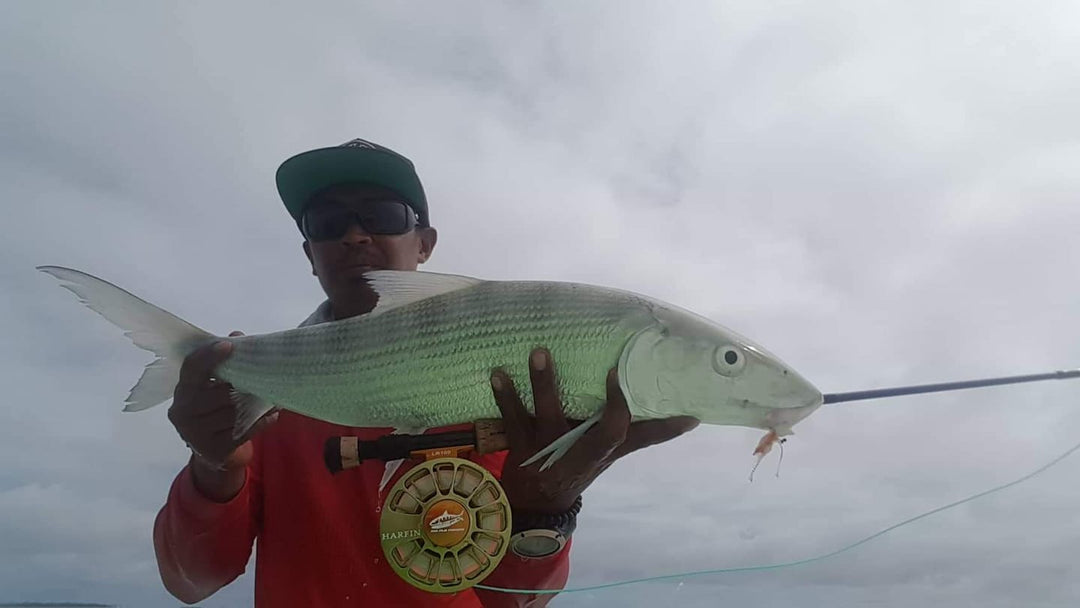 COCOS KEELING ISLANDS FLY KIT