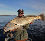 SWFA RATTLING FAT ALBERT FLY - SL12 6/0 - SONIC RATTLE - GOLD BOMBER