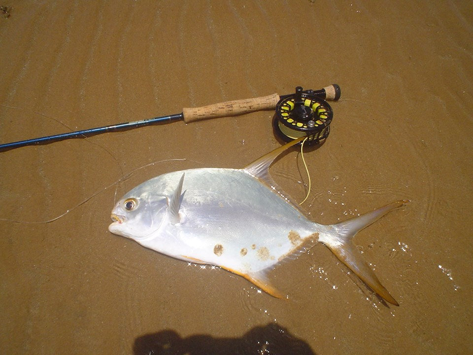 EXMOUTH FLY KIT