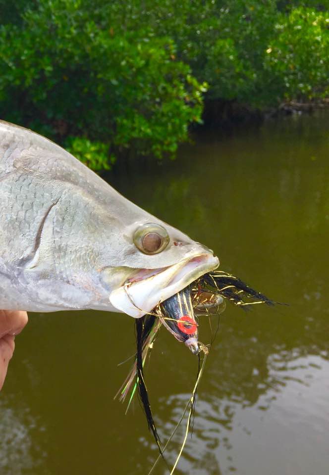 SWFA RATTLING FAT ALBERT FLY - SL12 6/0 - SONIC RATTLE - GOLD BOMBER