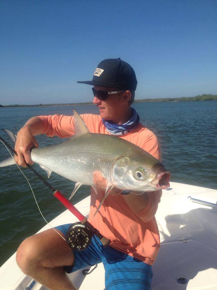 BLOOD/MANGROVE WORM FLY