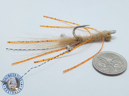 VEVERKA'S MANTIS SHIMP FLY