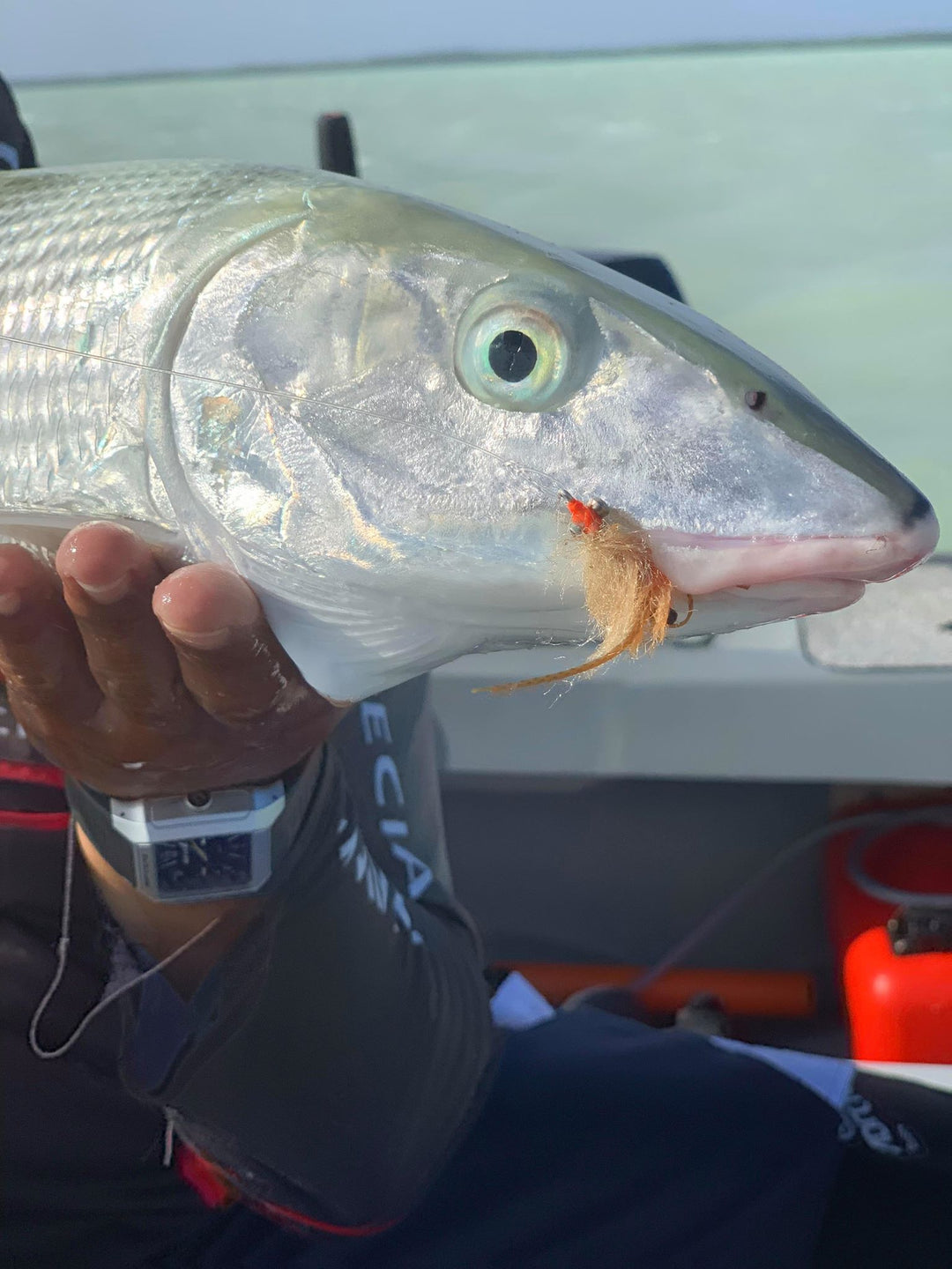 COCOS KEELING ISLANDS FLY KIT