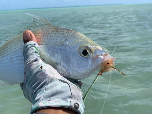 SWFA ORANGE BEARDED MANTIS SHRIMP FLY - SL12 1/0 - TAN