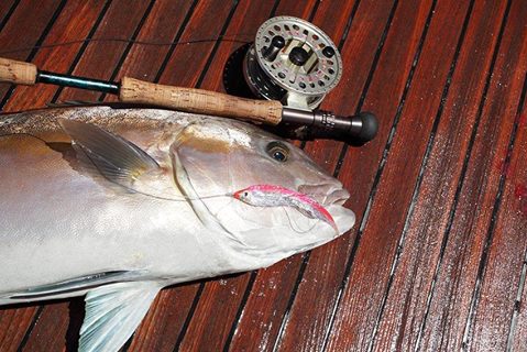 SWFA 6" SPARDEAN SPRAT BILLFISH TUBE FLY - PINK HEAD