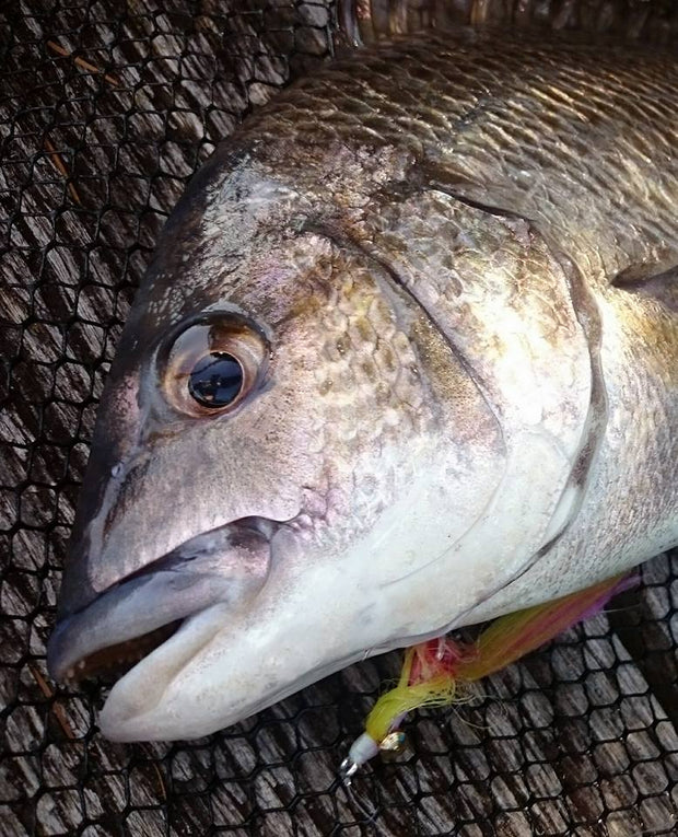 SWFA CLOUSER MINNOW - SL11-3H #2 - TAN/WHITE - BUCKTAIL - PAINTED RED LEAD EYE
