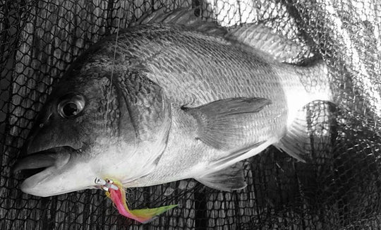 CLOUSER MINNOW - SL12 #2 & SL12 1/0 - WHITE - BUCKTAIL - RED DOUBLE PUPIL LEAD EYE