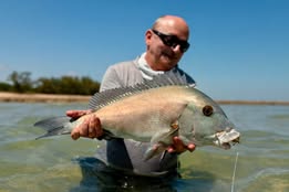 SBD SHRIMP FLY - ("SILENT BUT DEADLY")