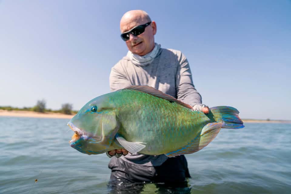 SBD SHRIMP FLY - ("SILENT BUT DEADLY")
