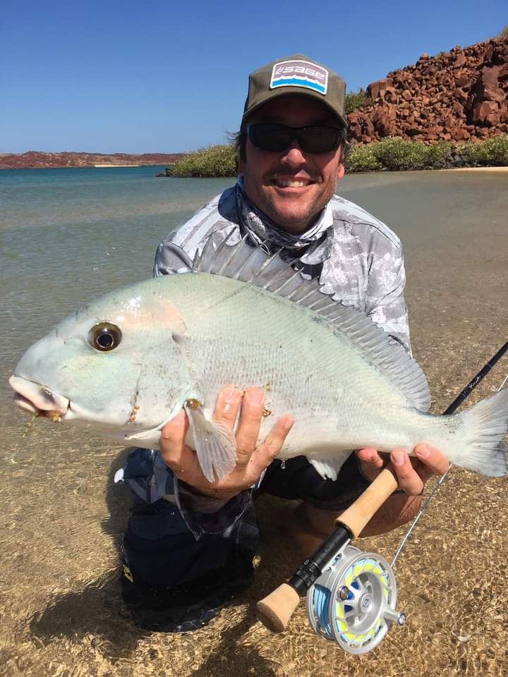 PILBARA SHRIMP FLY - SL12 1/0 - TAN BEADCHAIN EYE