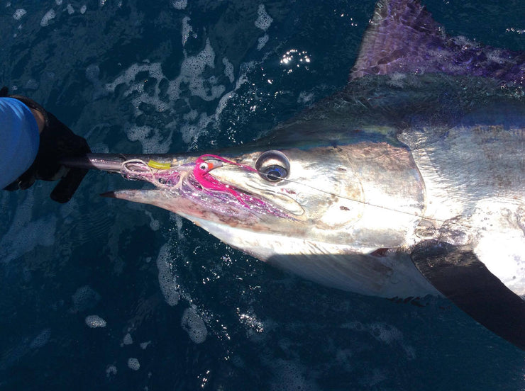 SWFA 8" KLINGON  BILLFISH TUBE FLY