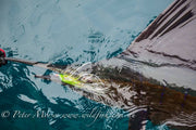 SWFA 6" KLINGON BILLFISH TUBE FLY