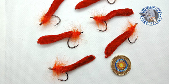 BLOOD/MANGROVE WORM FLY