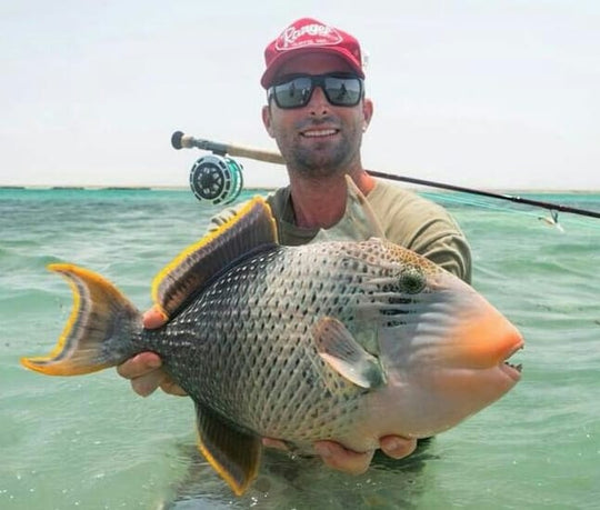 ALPHLEXO CRAB FLY - MATES RATE PRICES